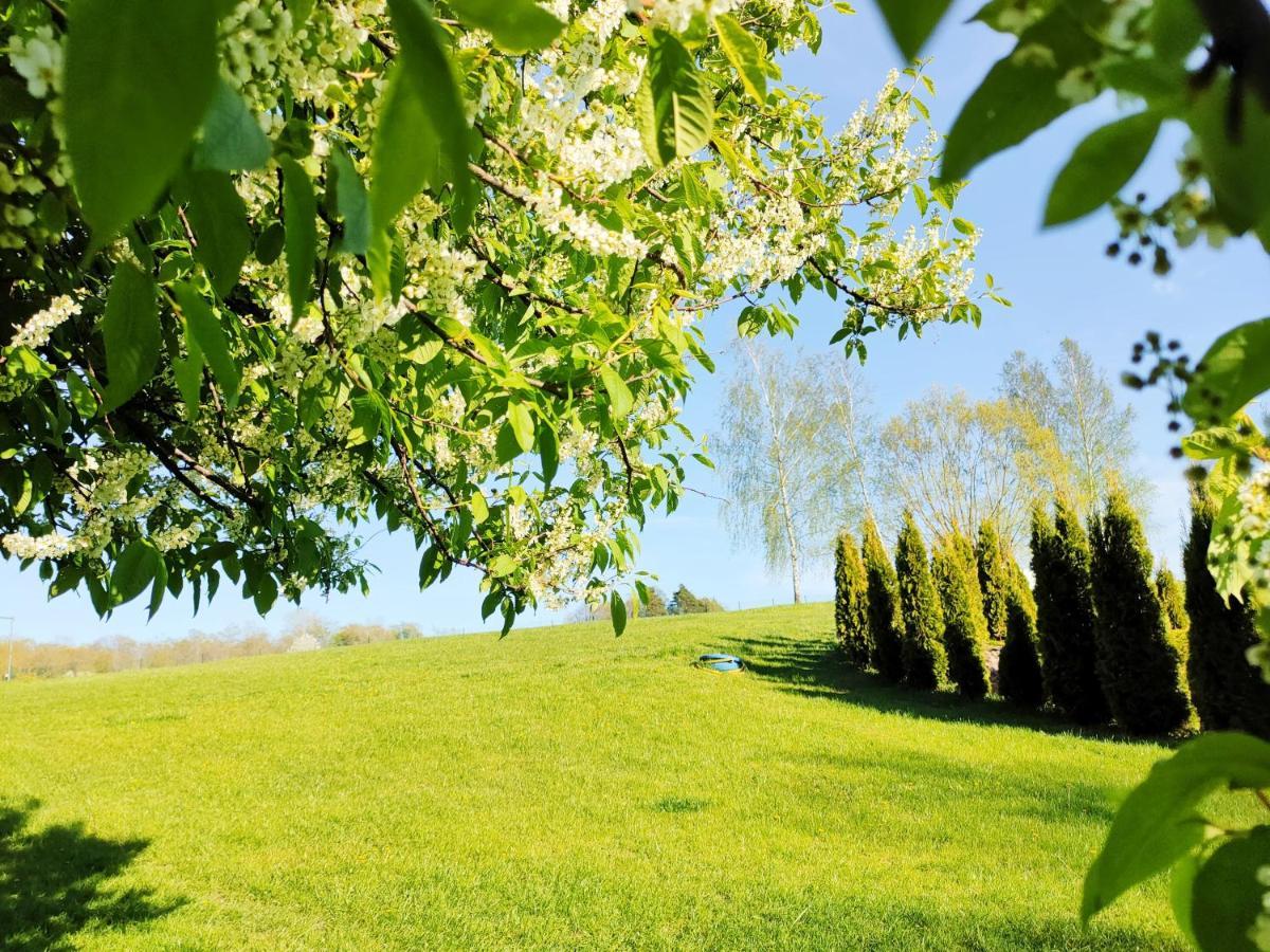 Wczasymazurskie - Domek Caloroczny " Lawenda" Mazury Moldzie Esterno foto