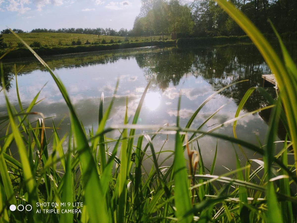 Wczasymazurskie - Domek Caloroczny " Lawenda" Mazury Moldzie Esterno foto
