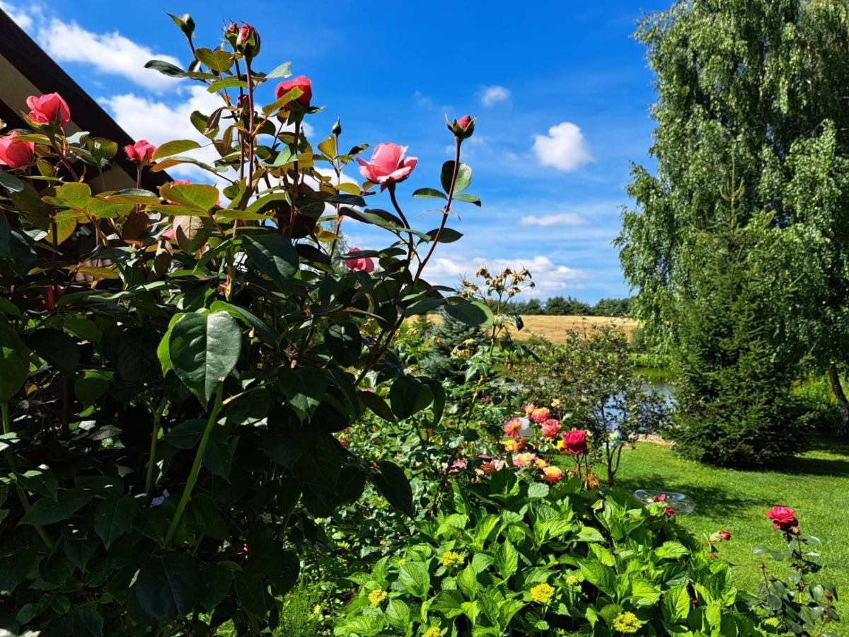 Wczasymazurskie - Domek Caloroczny " Lawenda" Mazury Moldzie Esterno foto